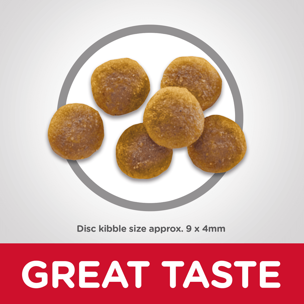 HILLS SCIENCE DIET Adult Cat Dry Food - Image 4