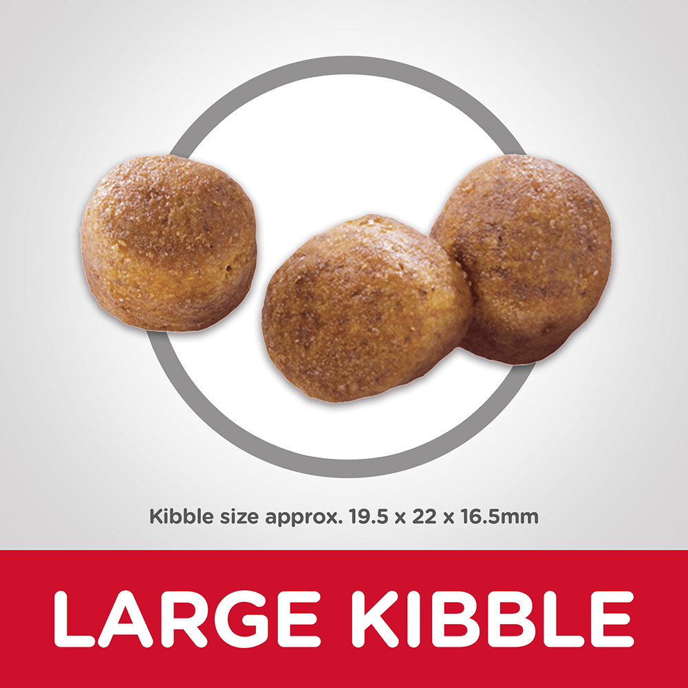 HILLS SCIENCE DIET Adult Oral Care Dry Dog Food - Image 4