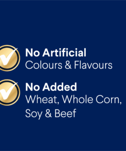 Alternative view of ADVANCE Adult Small Oodles Dry Dog Food