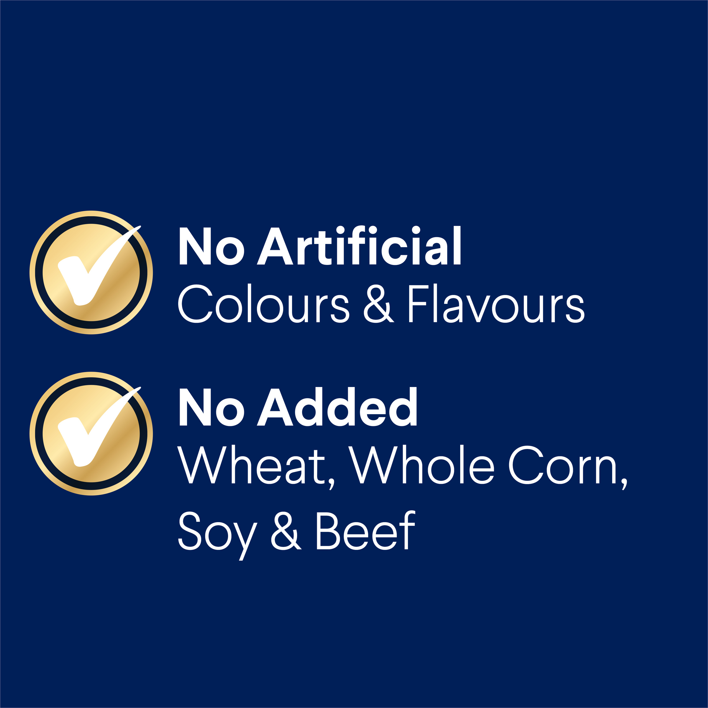 ADVANCE Adult Small Oodles Dry Dog Food - Image 2